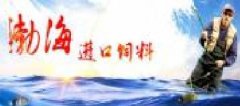 天津渤海海洋進(jìn)出口有限公司與我公司簽訂網(wǎng)站建設(shè)條款