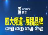 廣西青龍化學建材有限公司與我司簽訂網(wǎng)站設協(xié)議