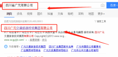 四川廣元交通旅游投資集團(tuán)有限公司與本司簽約網(wǎng)站推廣項(xiàng)目