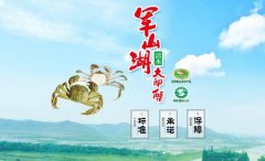 江西省進賢縣軍*湖魚蟹開發(fā)公司做網(wǎng)站有創(chuàng)意的主題設(shè)計