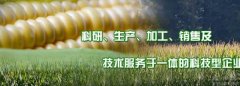 吉林省天*固種業(yè)有限責(zé)任公司網(wǎng)站建設(shè)可視化建站作品欣賞