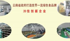 云南大理洱*實業(yè)有限公司網(wǎng)站建設(shè)營銷型案例作品