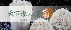 天水眾*菌業(yè)股份有限公司網(wǎng)站建設(shè)有創(chuàng)意的主題設(shè)計(jì)