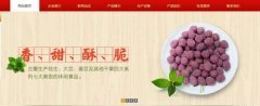 紅太*食品(榮成)有限公司制作網(wǎng)站新一代自助建站、智能建站系統(tǒng)